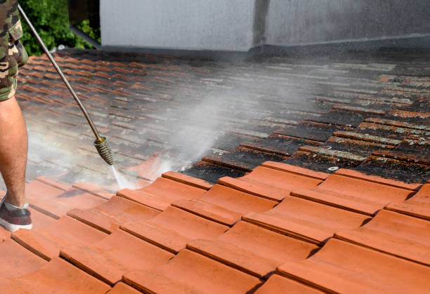 Best Affordable Pressure Washing  in Pine Bluff, AR